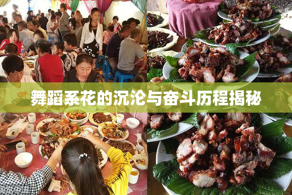 舞蹈系花的沉沦与奋斗历程揭秘