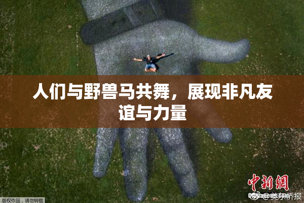 人们与野兽马共舞，展现非凡友谊与力量