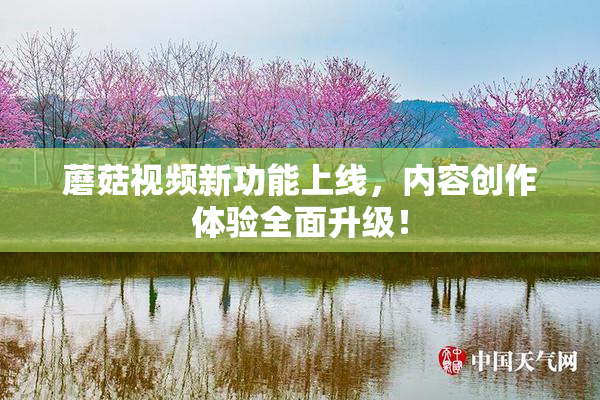 蘑菇视频新功能上线，内容创作体验全面升级！