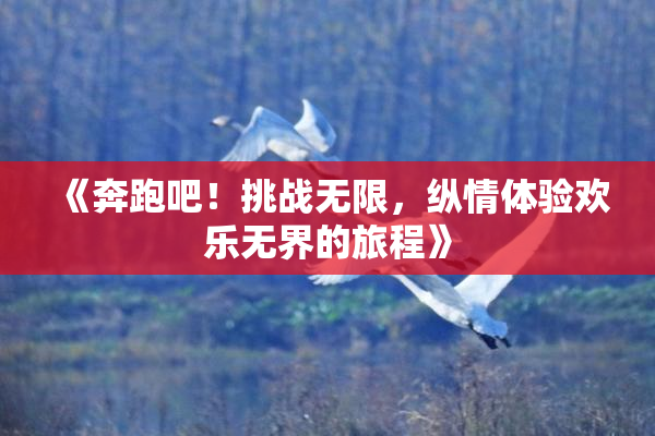 《奔跑吧！挑战无限，纵情体验欢乐无界的旅程》