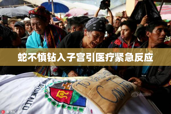 蛇不慎钻入子宫引医疗紧急反应