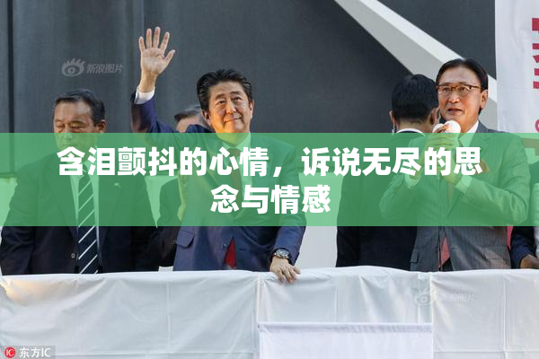 含泪颤抖的心情，诉说无尽的思念与情感