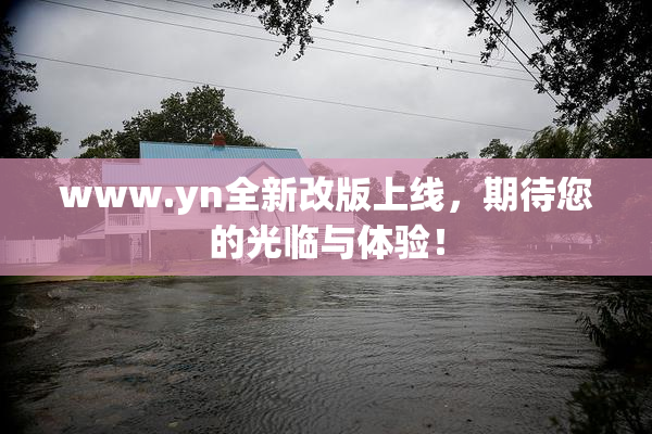 www.yn全新改版上线，期待您的光临与体验！
