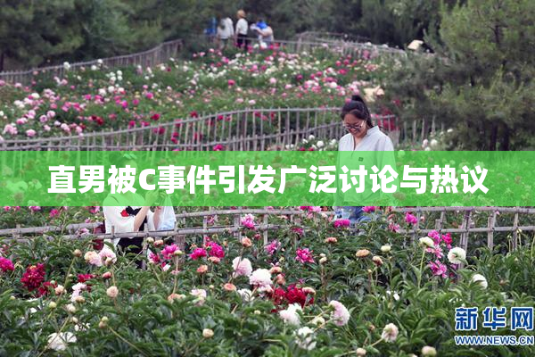直男被C事件引发广泛讨论与热议