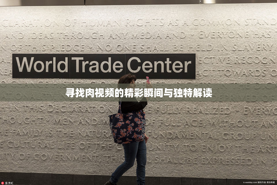 寻找肉视频的精彩瞬间与独特解读