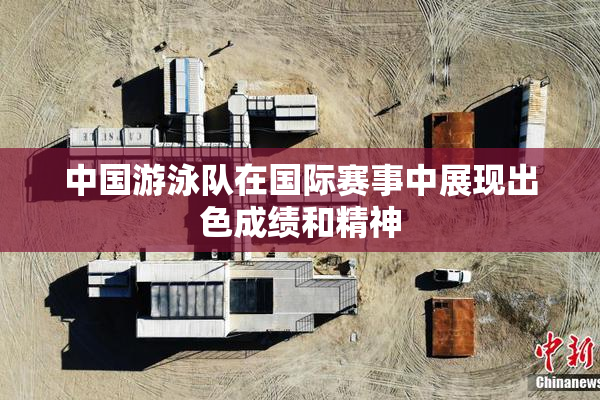 中国游泳队在国际赛事中展现出色成绩和精神