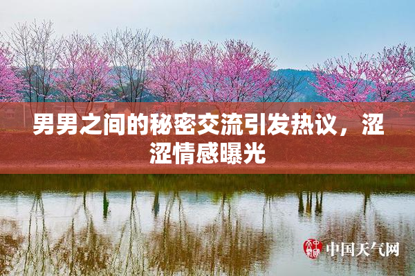 男男之间的秘密交流引发热议，涩涩情感曝光