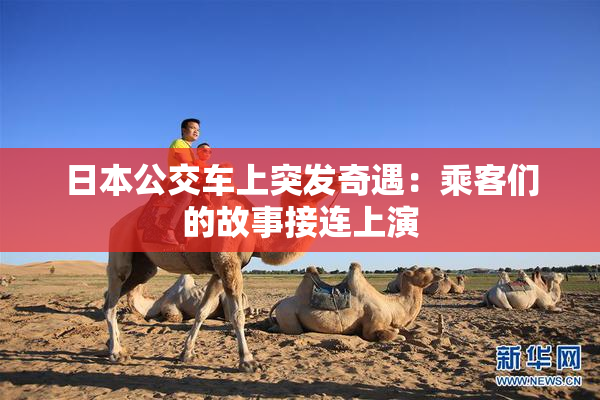 日本公交车上突发奇遇：乘客们的故事接连上演