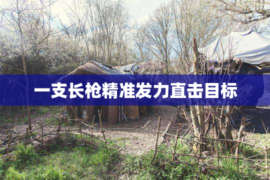 一支长枪精准发力直击目标