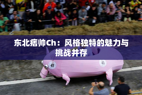 东北痞帅Ch：风格独特的魅力与挑战并存
