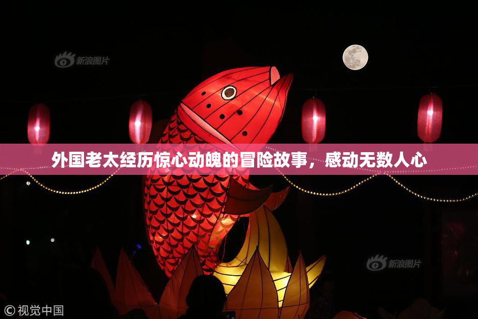 外国老太经历惊心动魄的冒险故事，感动无数人心