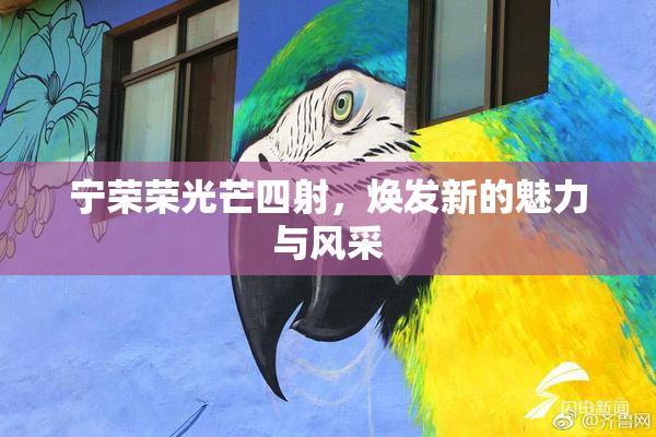 宁荣荣光芒四射，焕发新的魅力与风采