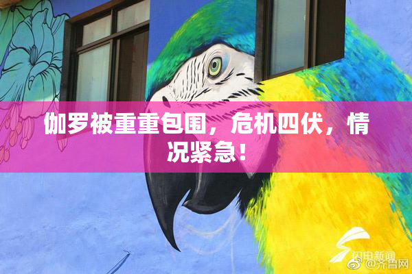 伽罗被重重包围，危机四伏，情况紧急！