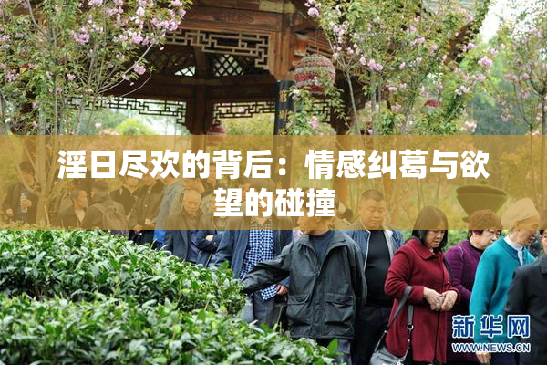 淫日尽欢的背后：情感纠葛与欲望的碰撞