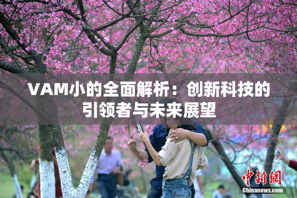 VAM小的全面解析：创新科技的引领者与未来展望