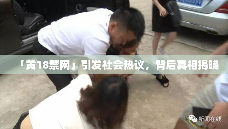 「黄18禁网」引发社会热议，背后真相揭晓