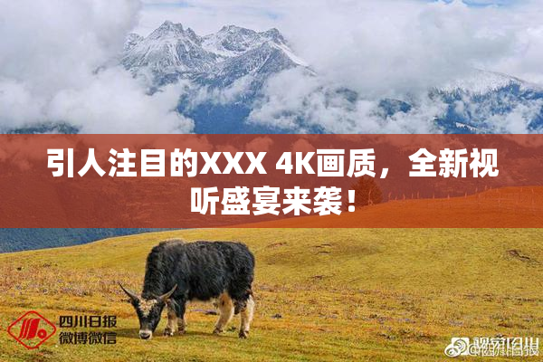 引人注目的XXX 4K画质，全新视听盛宴来袭！