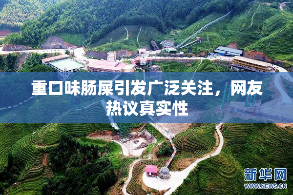 重口味肠屎引发广泛关注，网友热议真实性