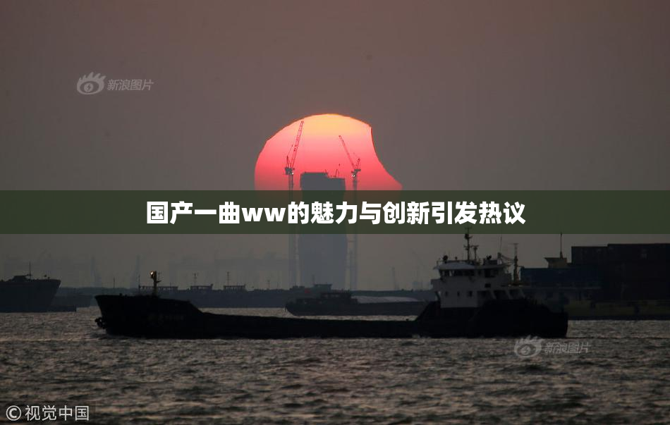 国产一曲ww的魅力与创新引发热议