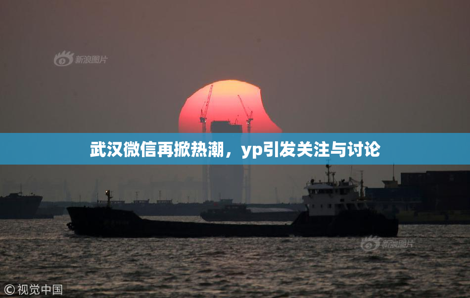 武汉微信再掀热潮，yp引发关注与讨论