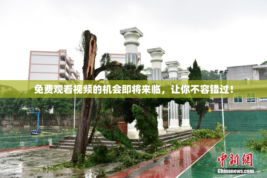 免费观看视频的机会即将来临，让你不容错过！