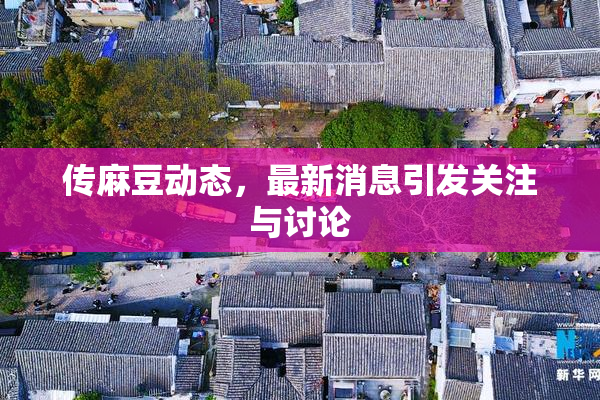 传麻豆动态，最新消息引发关注与讨论