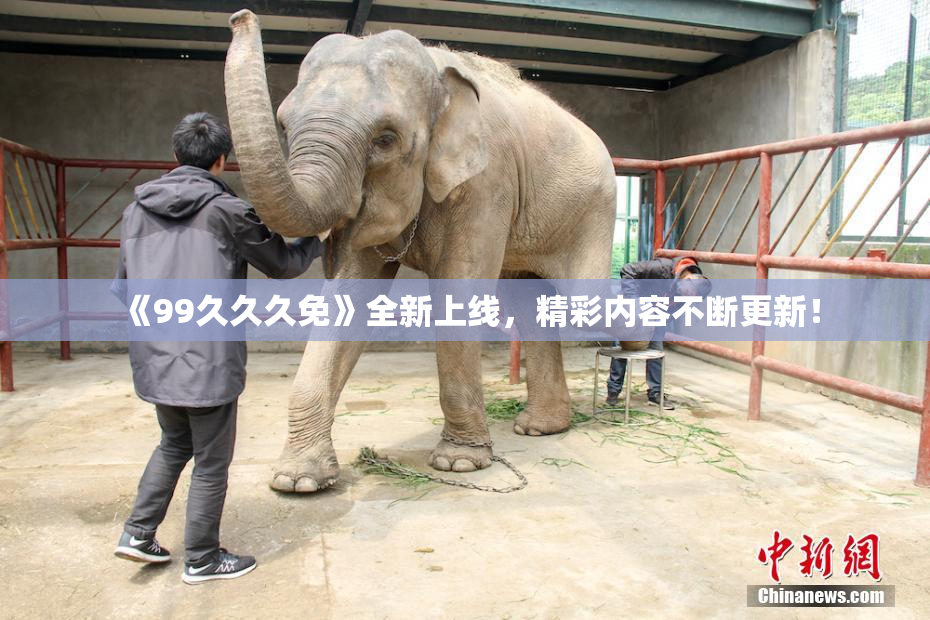 《99久久久免》全新上线，精彩内容不断更新！
