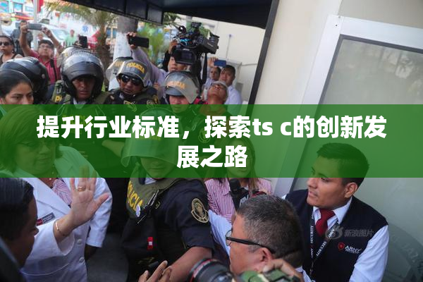 提升行业标准，探索ts c的创新发展之路