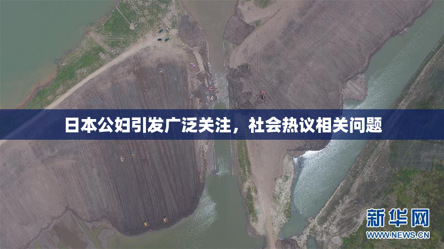 日本公妇引发广泛关注，社会热议相关问题