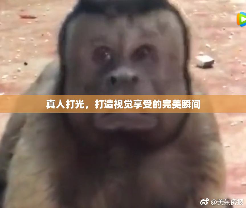 真人打光，打造视觉享受的完美瞬间
