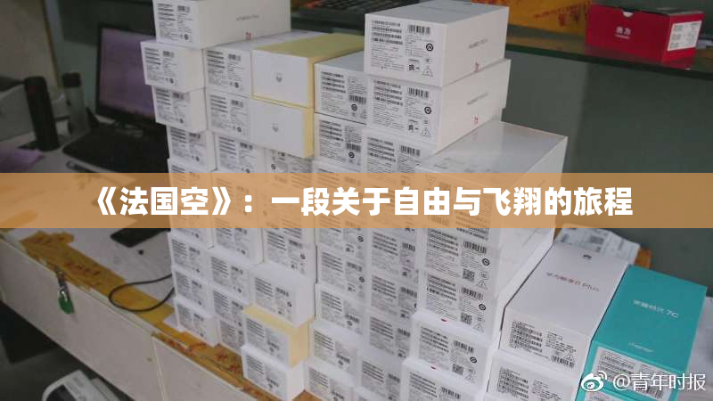 《法国空》：一段关于自由与飞翔的旅程