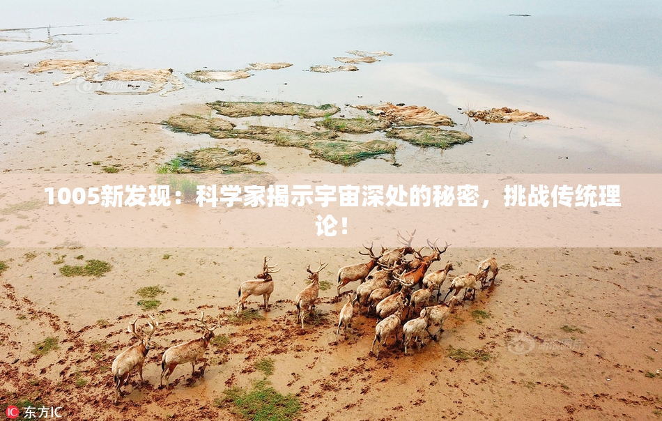 1005新发现：科学家揭示宇宙深处的秘密，挑战传统理论！