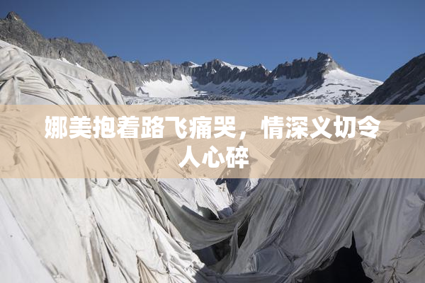 娜美抱着路飞痛哭，情深义切令人心碎