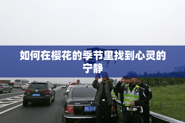 如何在樱花的季节里找到心灵的宁静