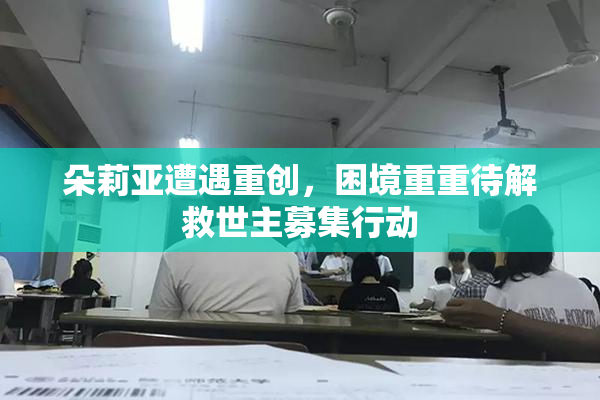 朵莉亚遭遇重创，困境重重待解救世主募集行动