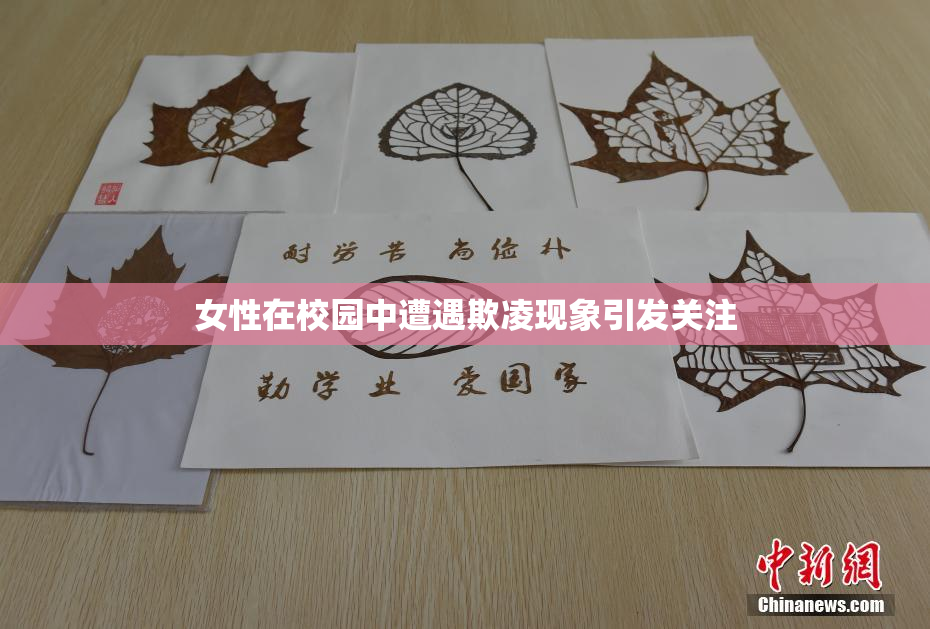 女性在校园中遭遇欺凌现象引发关注