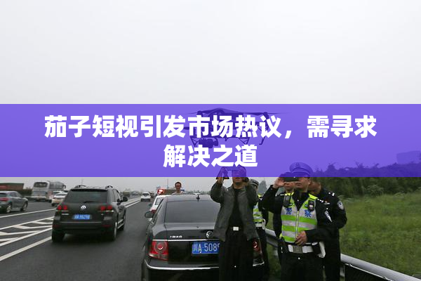 茄子短视引发市场热议，需寻求解决之道
