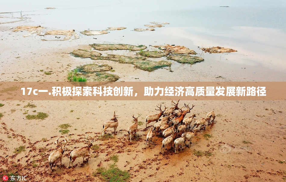 17c一.积极探索科技创新，助力经济高质量发展新路径