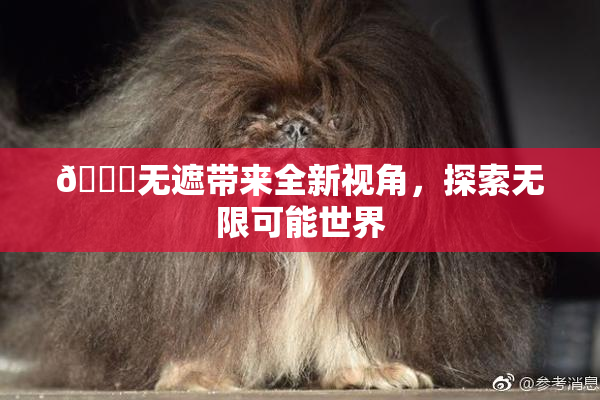 🔞无遮带来全新视角，探索无限可能世界