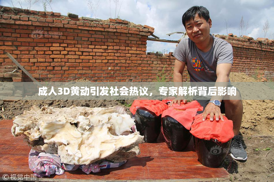 成人3D黄动引发社会热议，专家解析背后影响