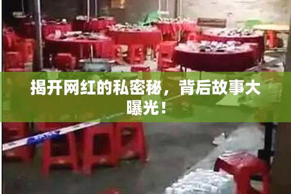 揭开网红的私密秘，背后故事大曝光！