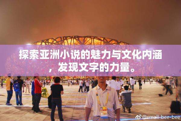 探索亚洲小说的魅力与文化内涵，发现文字的力量。