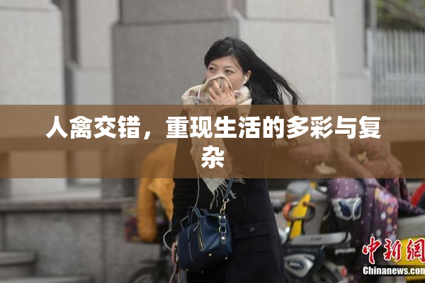 人禽交错，重现生活的多彩与复杂