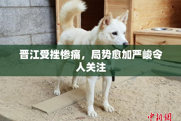 晋江受挫惨痛，局势愈加严峻令人关注