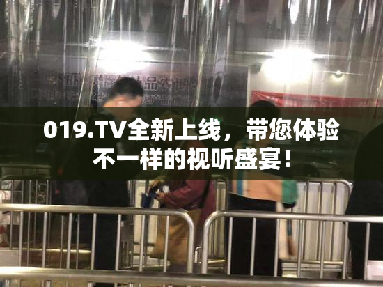019.TV全新上线，带您体验不一样的视听盛宴！