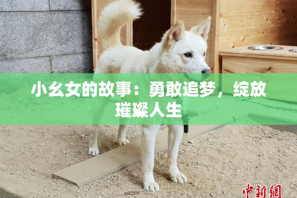 小幺女的故事：勇敢追梦，绽放璀璨人生