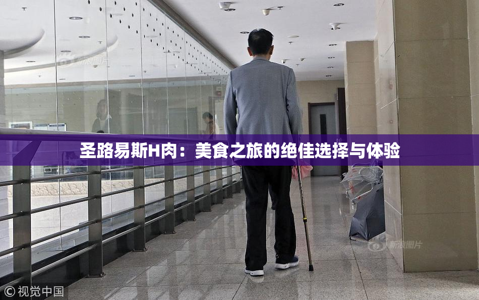 圣路易斯H肉：美食之旅的绝佳选择与体验