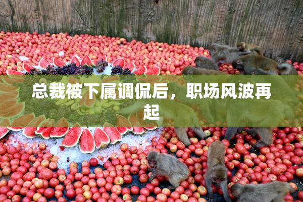 总裁被下属调侃后，职场风波再起
