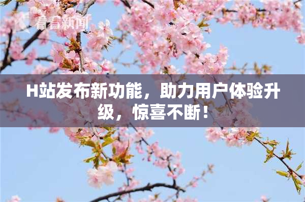 H站发布新功能，助力用户体验升级，惊喜不断！