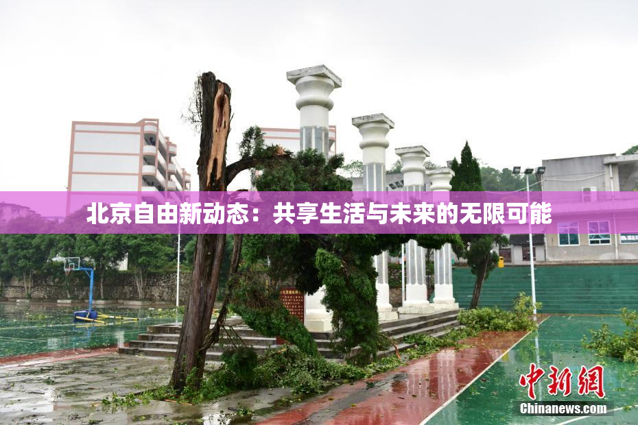 北京自由新动态：共享生活与未来的无限可能